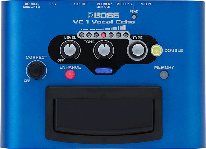 BOSS VE-1 Vocal Echo Panel