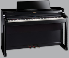 Roland HP-307-PE