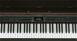 HP-207-MH Top (Photo)
