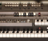 (Photo)
