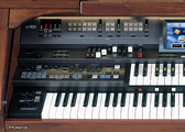 (Photo)