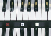 (Photo)
