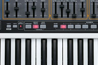 (Photo)