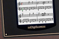 (Photo)