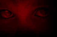 Porcupine Tree (Photo)