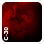 C-30 (Photo)