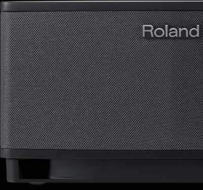 Amazon.com: Roland CUBE-LT Lite Tabletop Monitor Amplifier