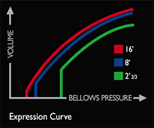 Expression Curve